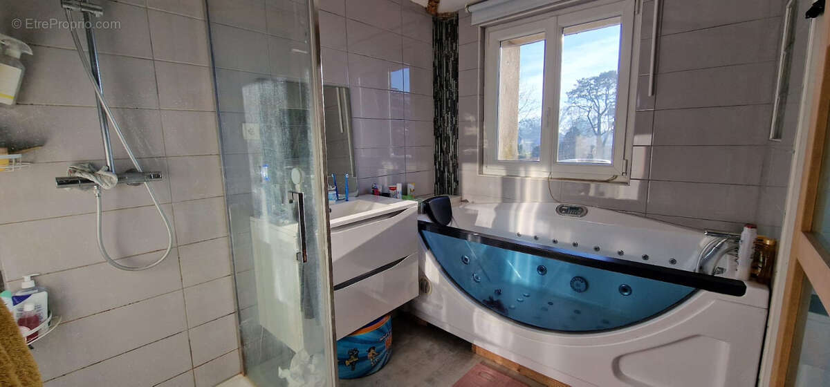 Maison à VILLEDIEU-LA-BLOUERE