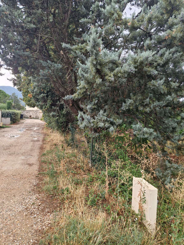 Terrain à SAINT-ZACHARIE