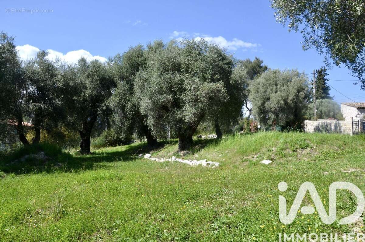 Photo 6 - Terrain à ROQUEFORT-LES-PINS