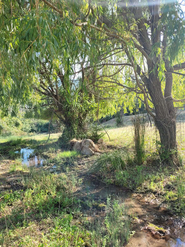 Maison à VAISON-LA-ROMAINE