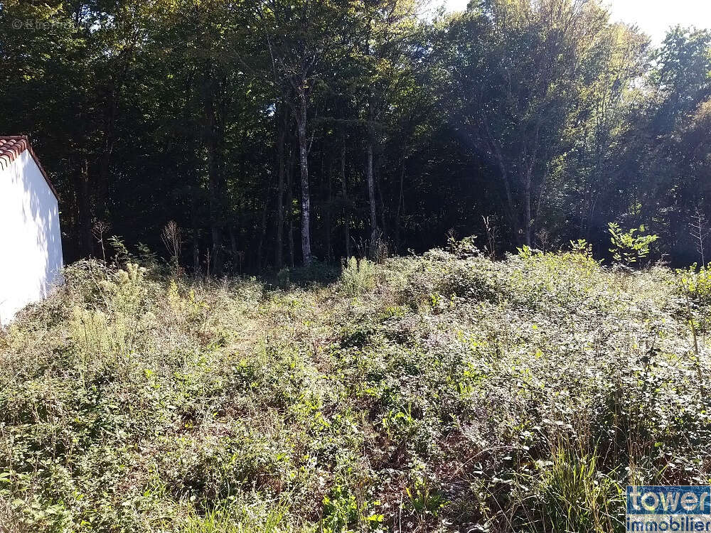 Terrain à PRANZAC