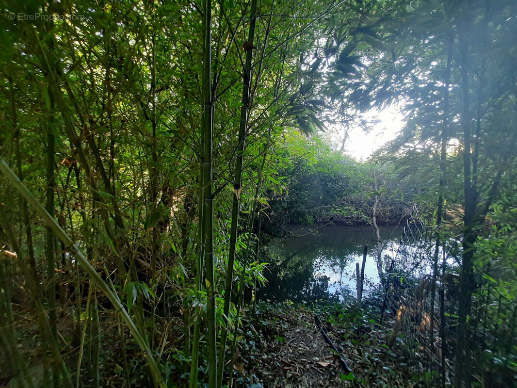 Maison à ENTRAIGUES-SUR-LA-SORGUE