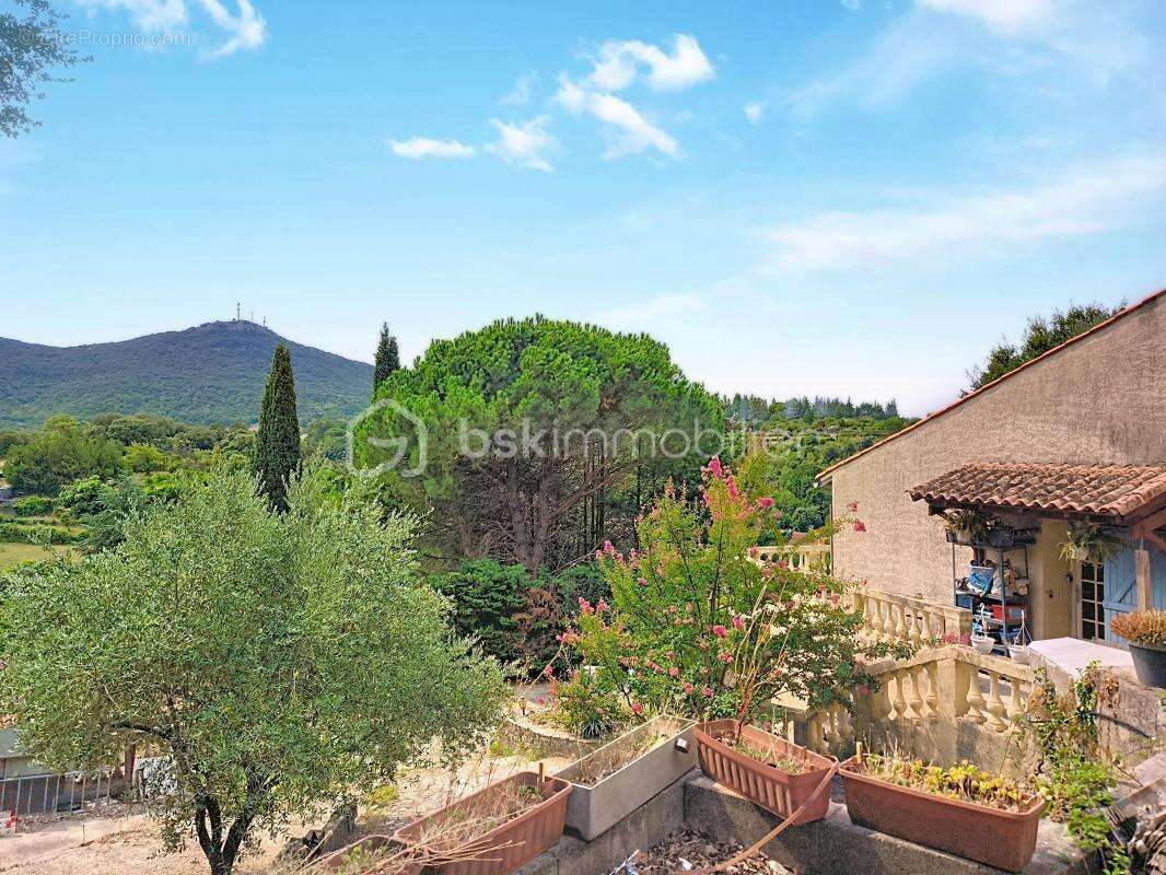 Grande maison familiale de 287 m² avec jardin, piscine et garage – Bédarieux - photo 26