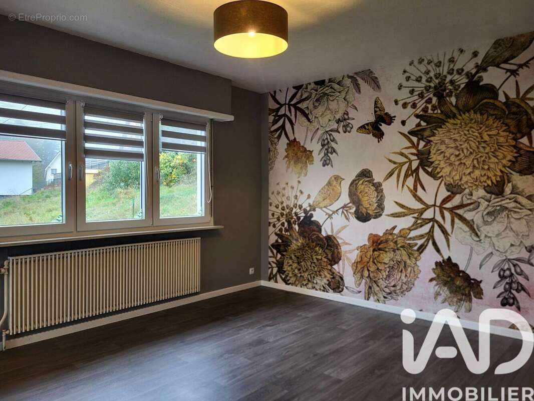 Photo 3 - Maison à ZITTERSHEIM