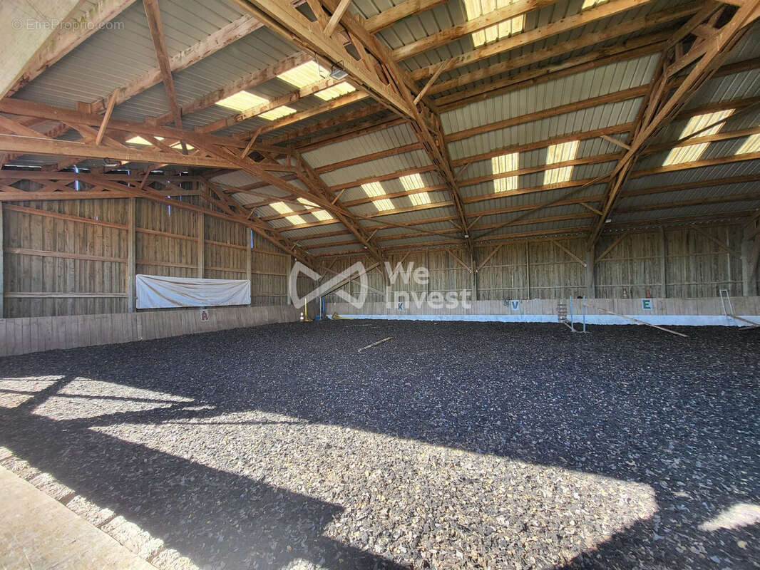 Manège 40 x 20 m - Commerce à MARLES-EN-BRIE