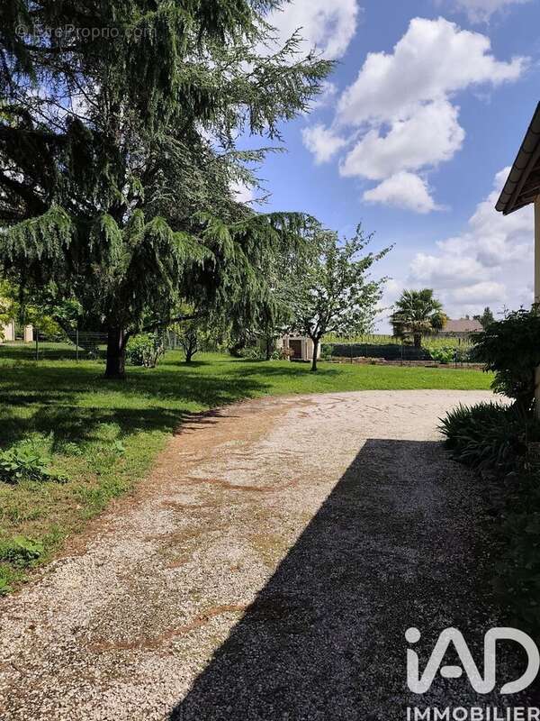 Maison 142 m² à Saint-Sulpice-De-Pommiers  - photo 2