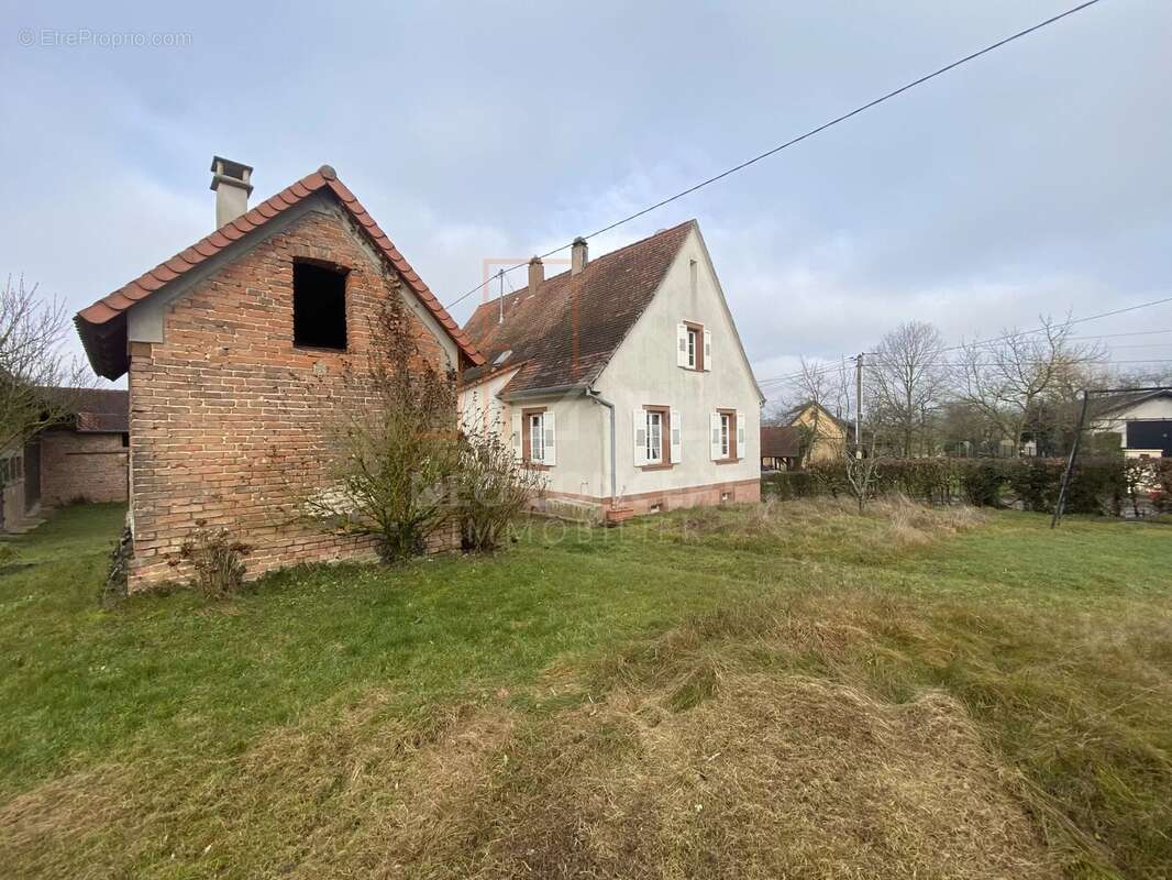 Maison à RIEDSELTZ