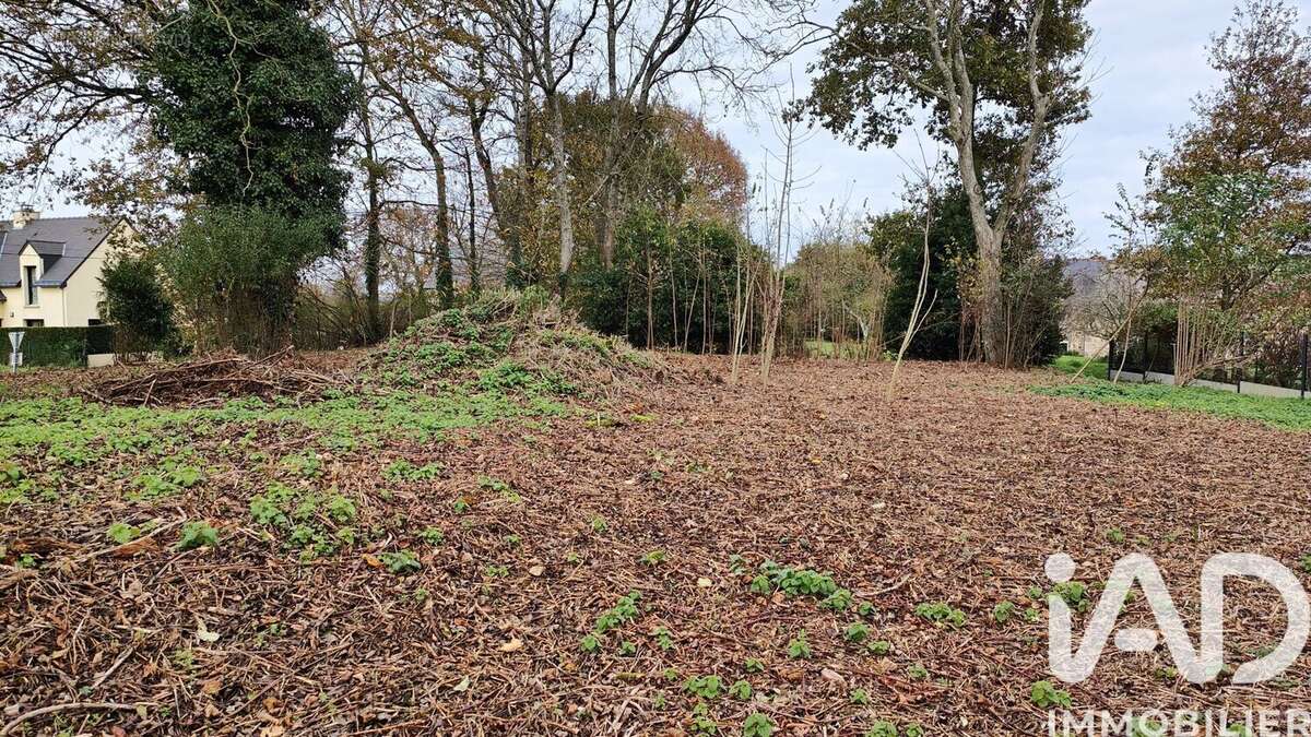 Photo 6 - Maison à SENS-DE-BRETAGNE