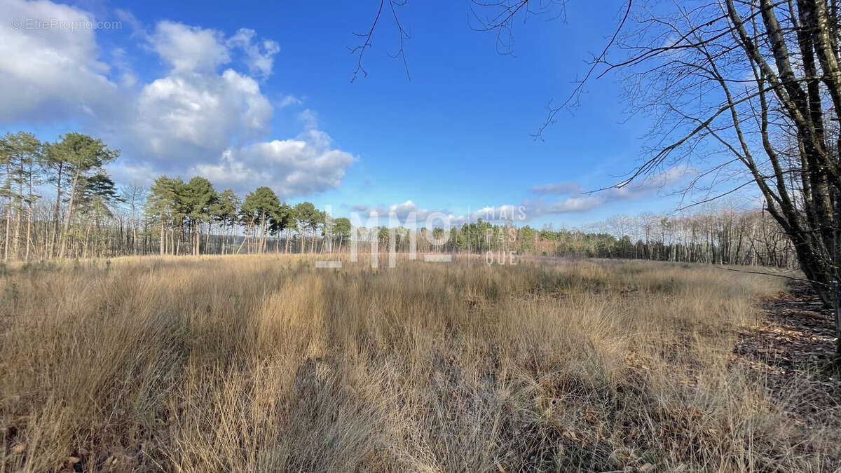 Terrain à LE GRAND-LUCE