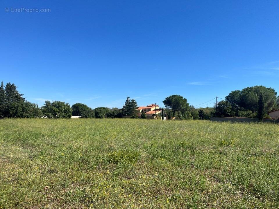 Terrain à THUIR