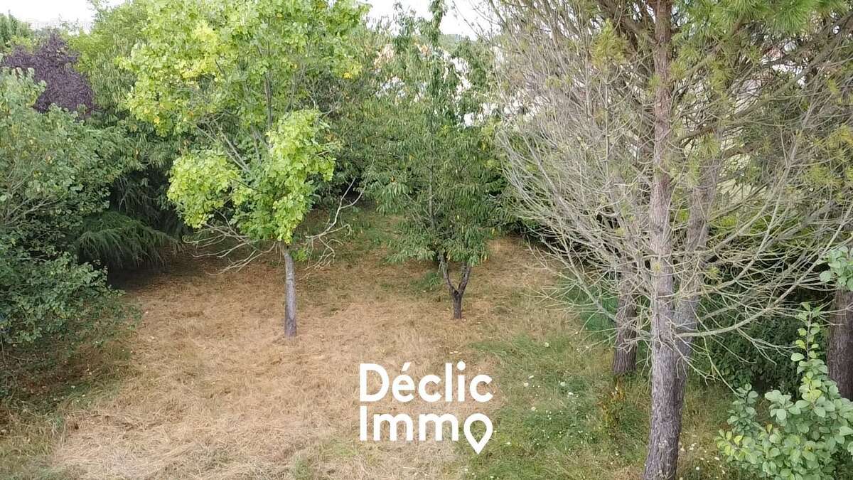 Maison en pierre dans le Marais Poitevin - photo 13