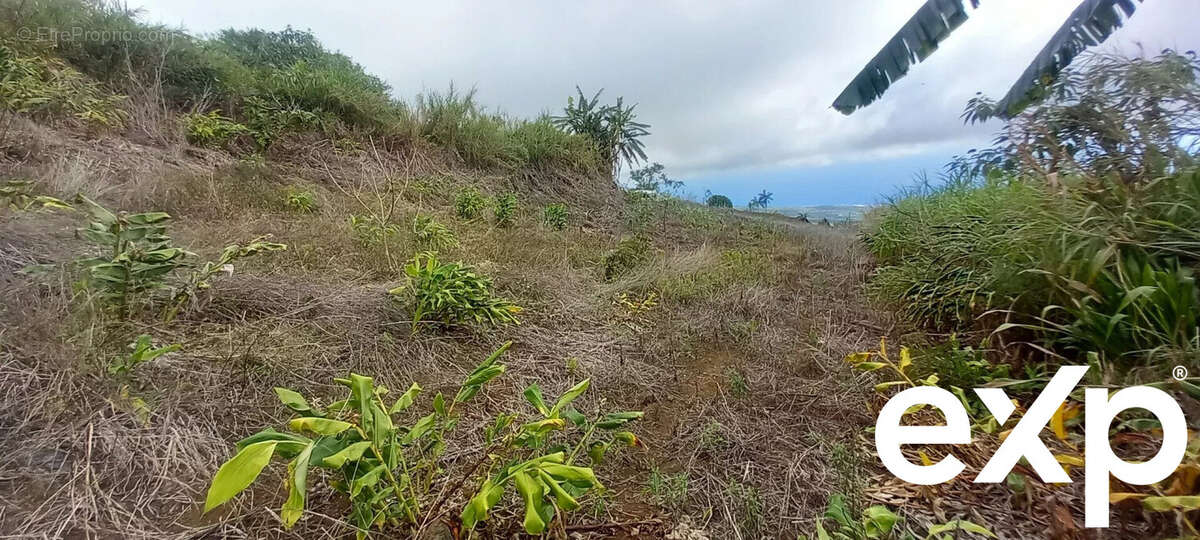 Terrain à SAINT-LEU