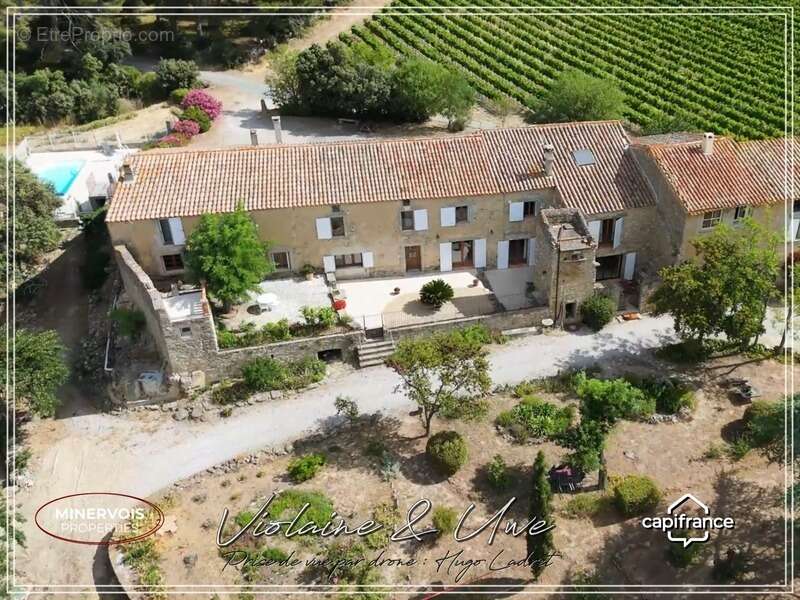 Domaine viticole d'exception de 47 hectares avec mas en pierre, gîtes et vignoble AOC Minervois – Hérault - photo 6