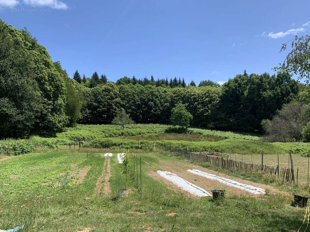 Maison de caractère avec vaste dépendance, 4 chambres et un potentiel exceptionnel - photo 15