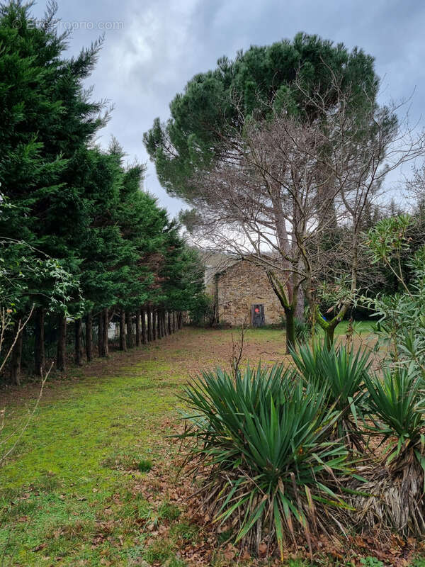 Maison à LAMALOU-LES-BAINS