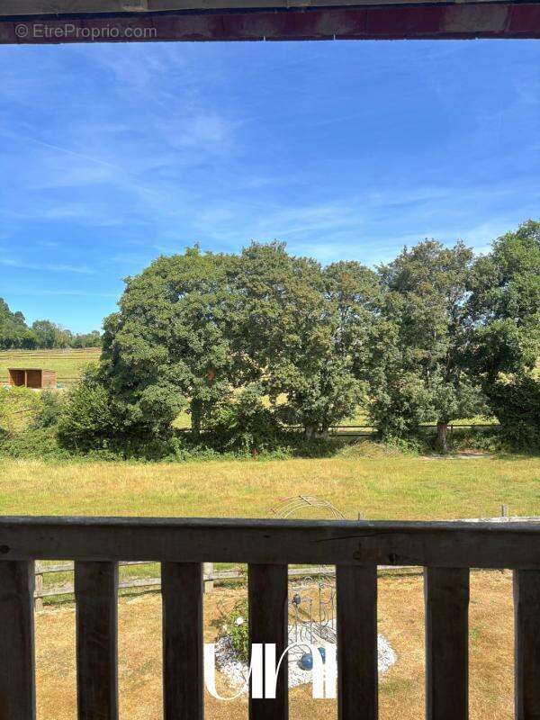 Maison 245 m² à Fauguernon  - photo 23