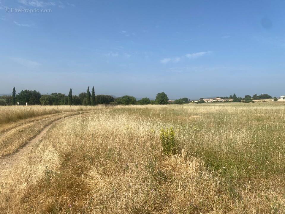 Terrain à PERTUIS