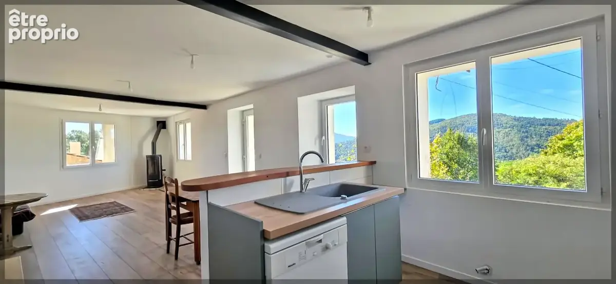 Saint-michel-de-chabrillanoux   propriété avec deux habitations, dépendances et plus de 15 000 m2 de terrain - photo 8
