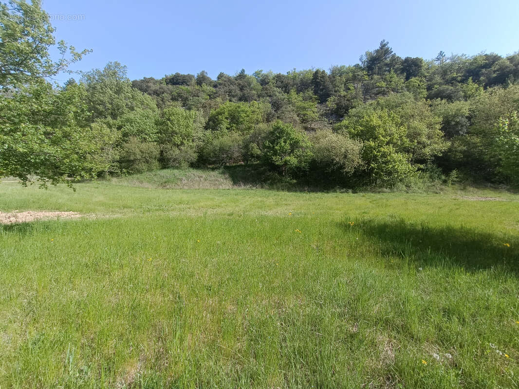 Terrain à SAVOILLAN