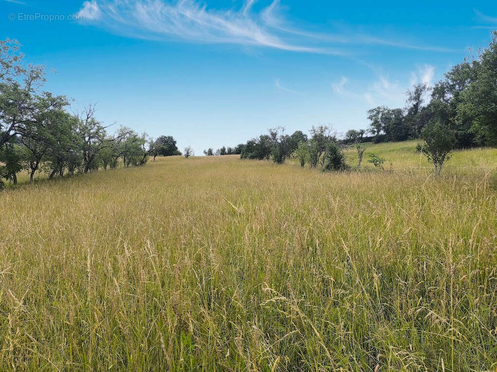 Propriété de 3,2 hectares avec deux maisons - photo 10