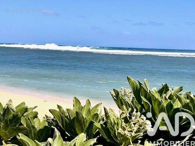 Photo 9 - Appartement à SAINT-PAUL