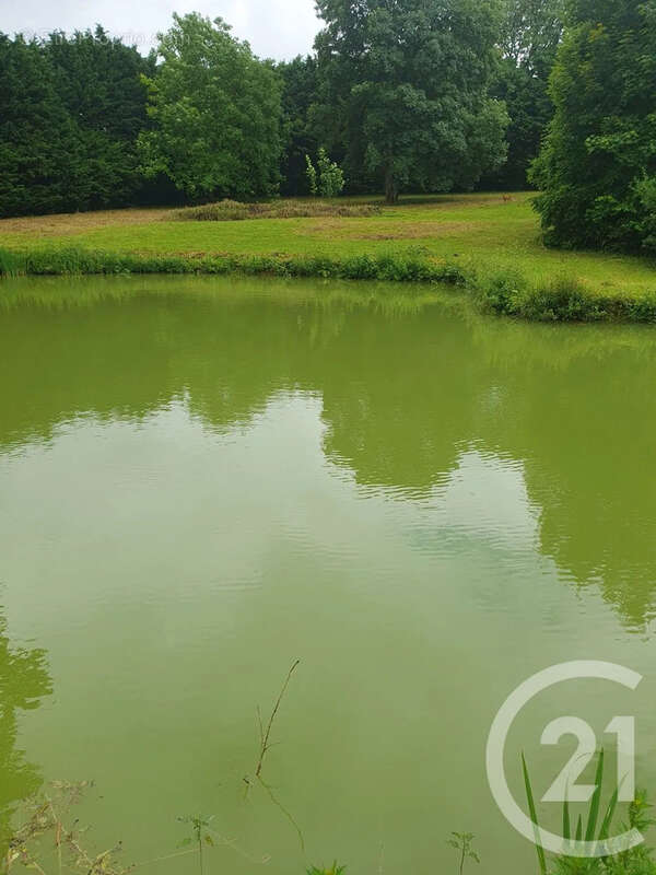 Terrain à PERONNE