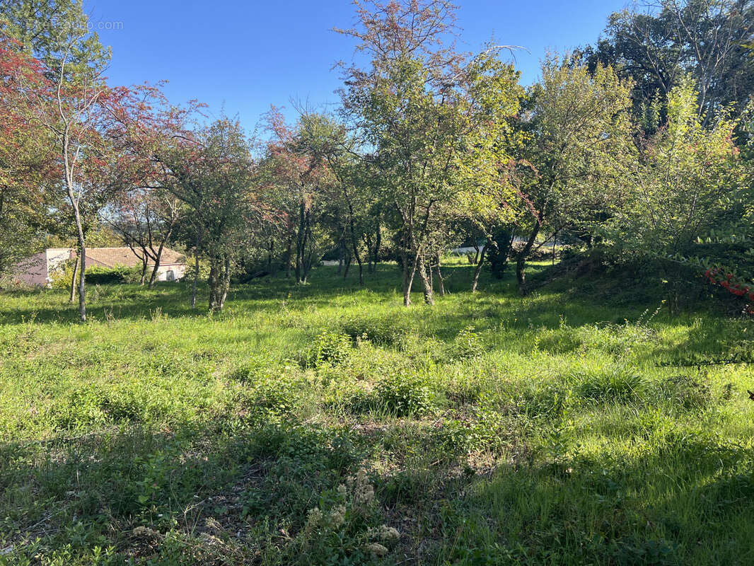 Terrain à SALAZAC