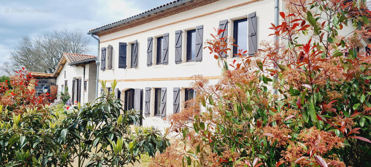 Maison à MURET