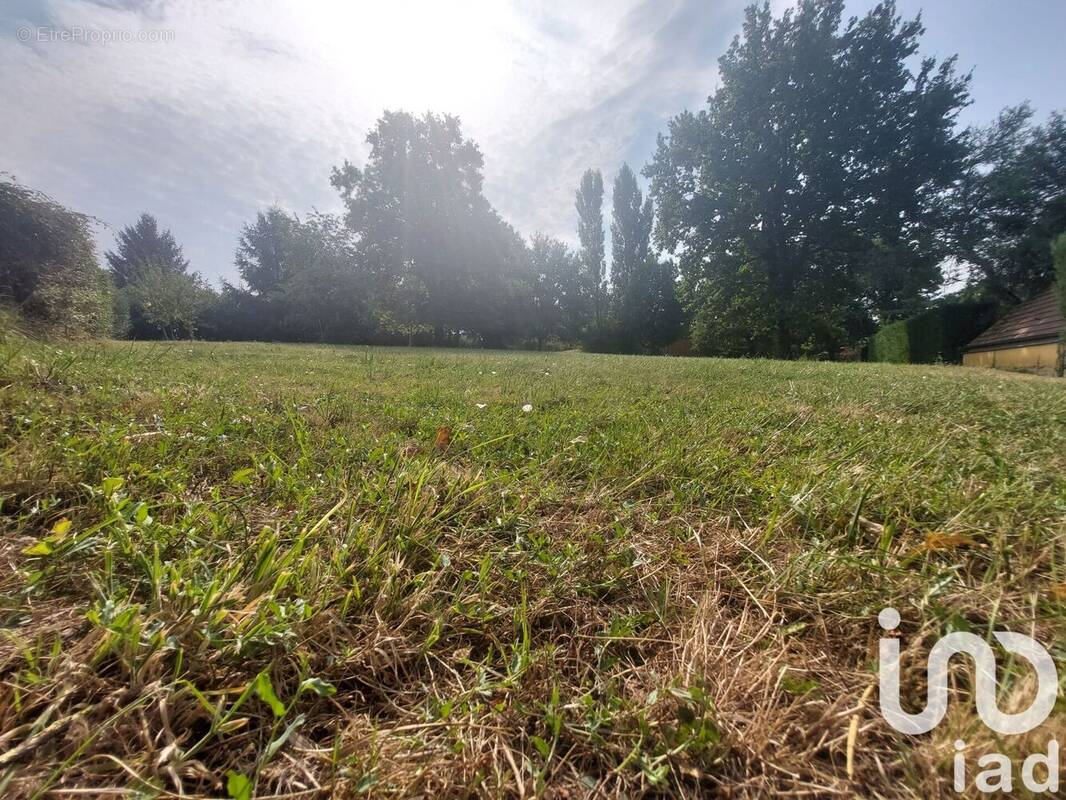 Photo 1 - Terrain à ALLERIOT