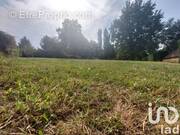 Photo 1 - Terrain à ALLERIOT