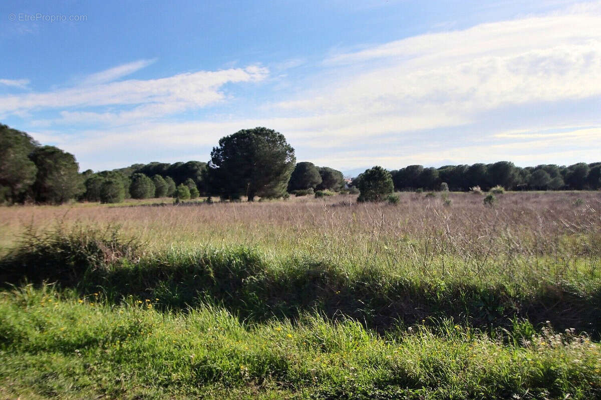 Terrain à CABESTANY