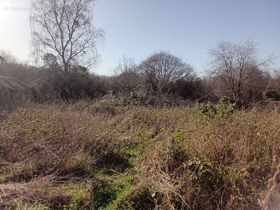 Maison à OUROUER-LES-BOURDELINS