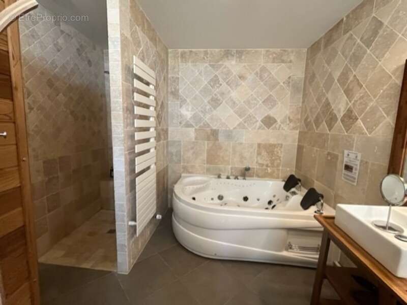 Dpt  (32) : ELEGANT CHATEAU XIX, sans travaux, bases médievales avec douves, piscine, sur 9100m2 jardin clos - photo 42