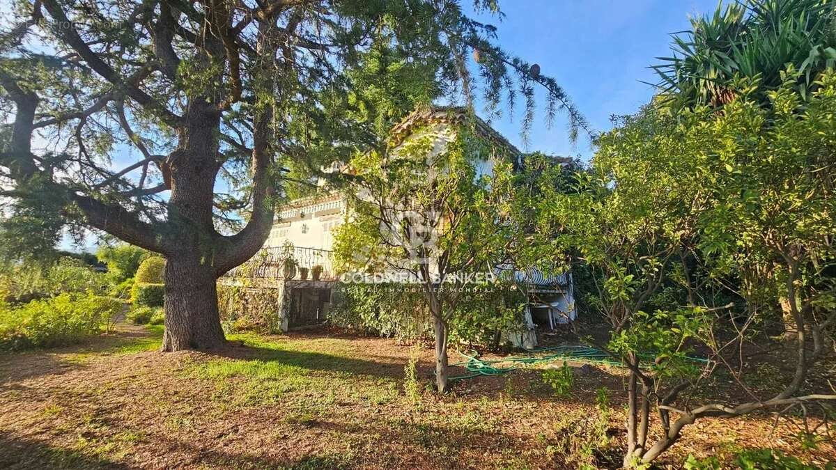 Maison à CANNES