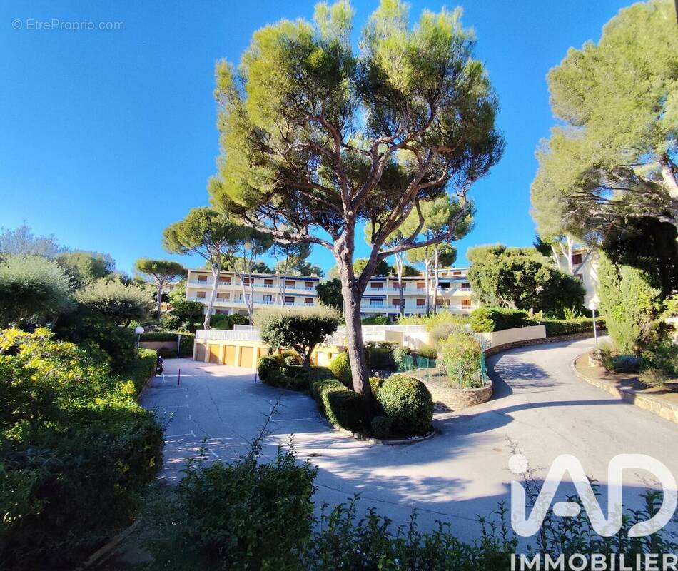 Photo 1 - Appartement à BORMES-LES-MIMOSAS