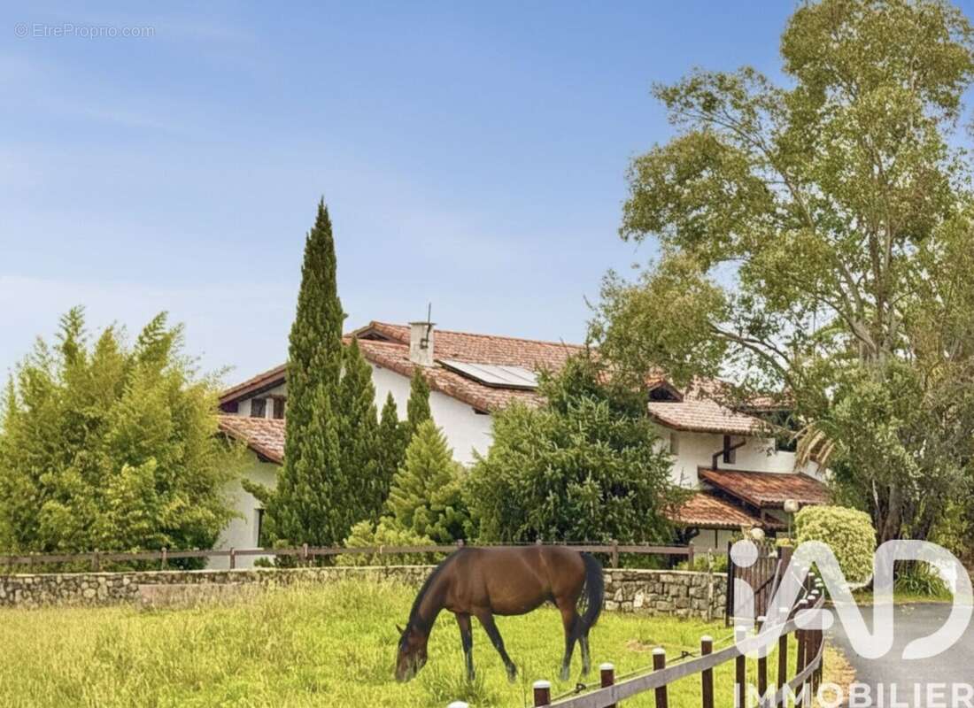 Photo 3 - Maison à MOUGUERRE