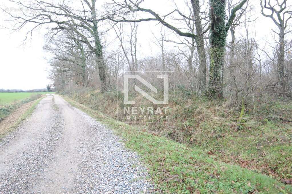 Maison à SAINT-GERMAIN-DU-BOIS