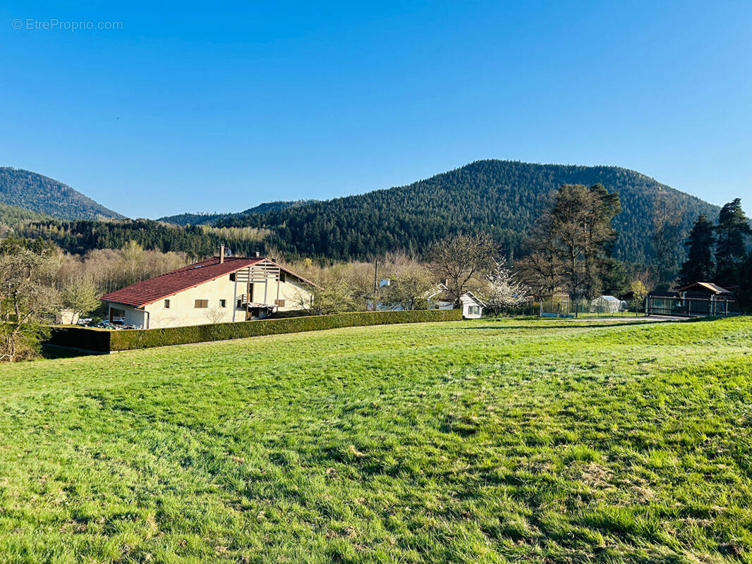 Terrain à SAINT-DIE-DES-VOSGES