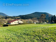Terrain à SAINT-DIE-DES-VOSGES