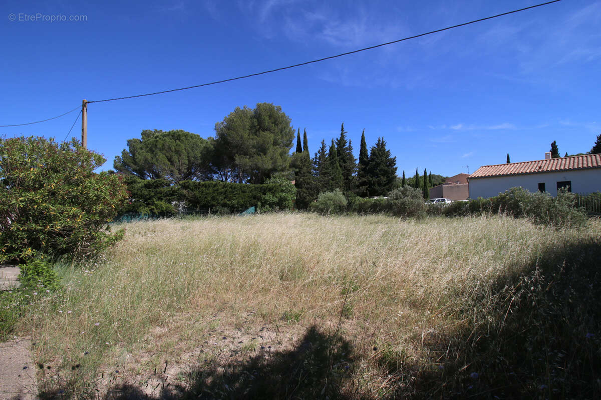 Terrain à FONTVIEILLE