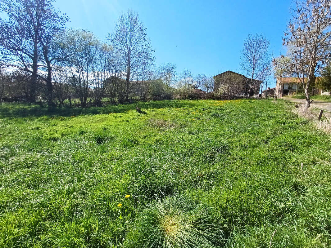 Terrain à CHOMELIX