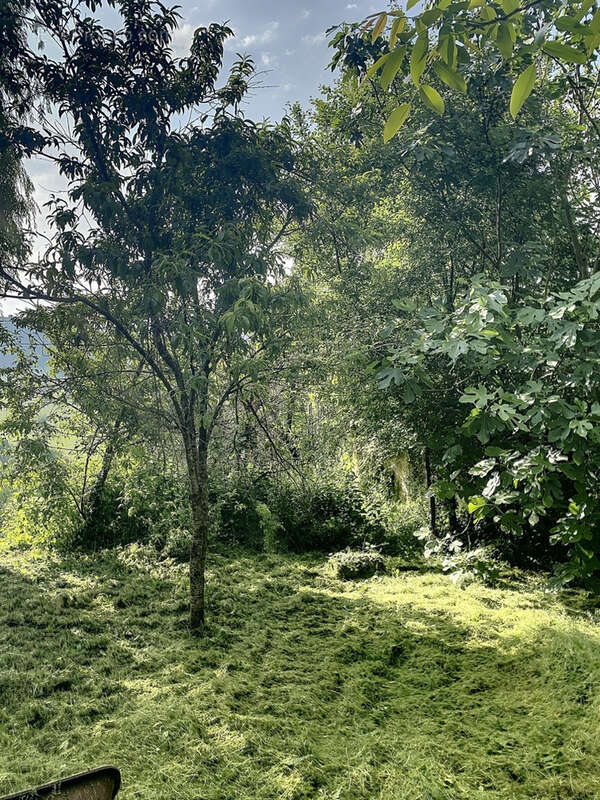 Maison à GRUN-BORDAS