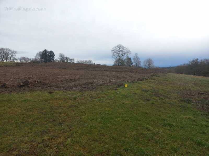 Terrain à ALLENJOIE