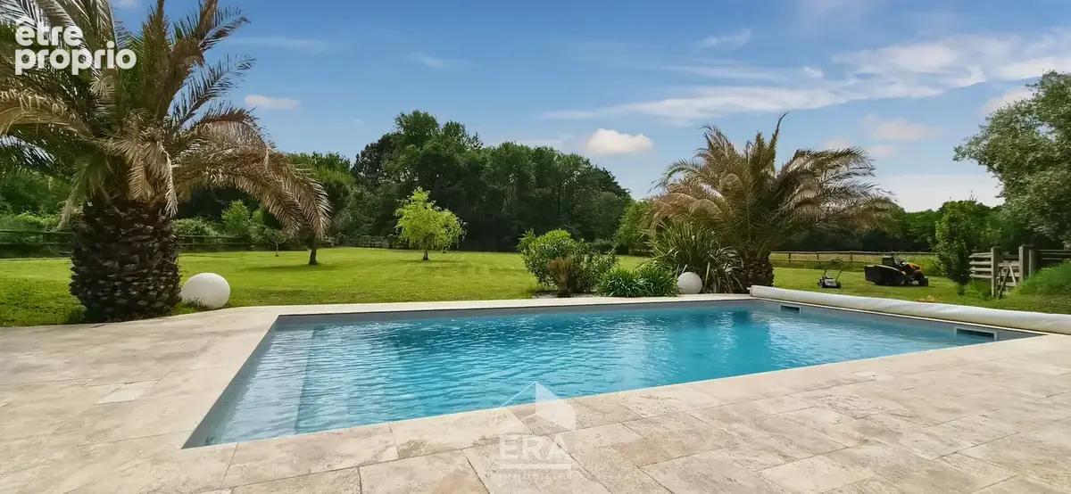 BLANQUEFORT - Maison 185m² plain-pied - grande parcelle de 5000m² - piscine - calme - photo 14