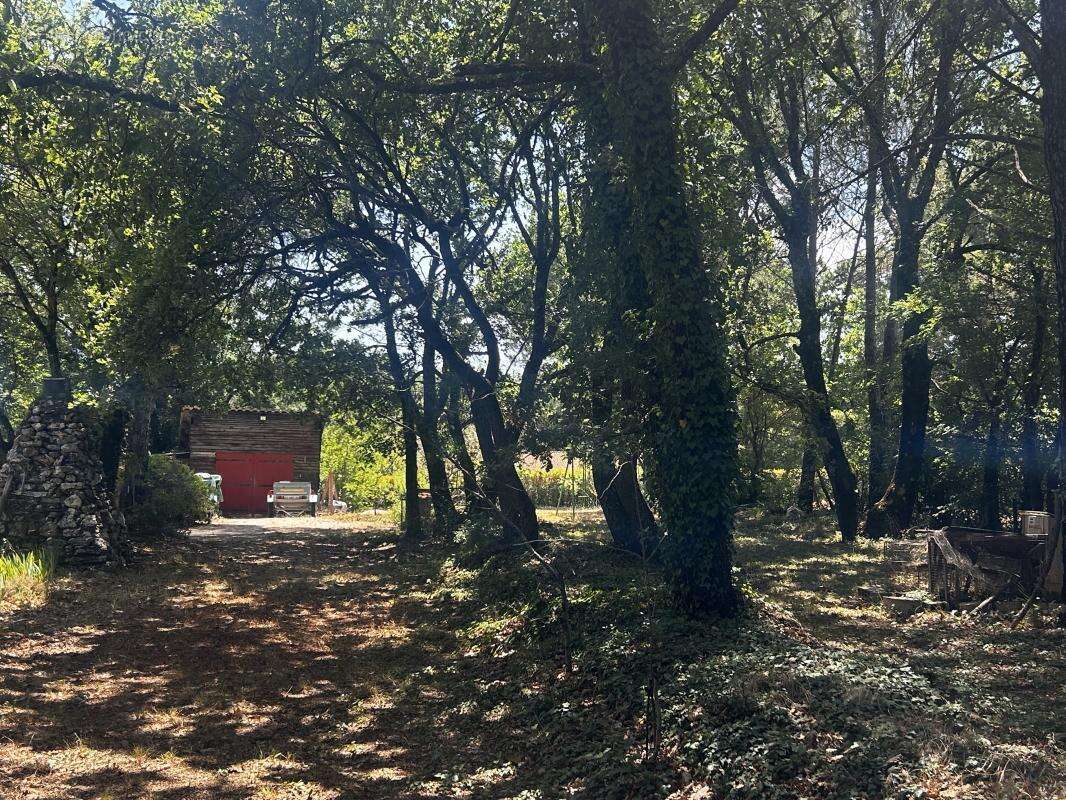 Secteur privilégié, vente villa sur 6123 m² de terrain - photo 12