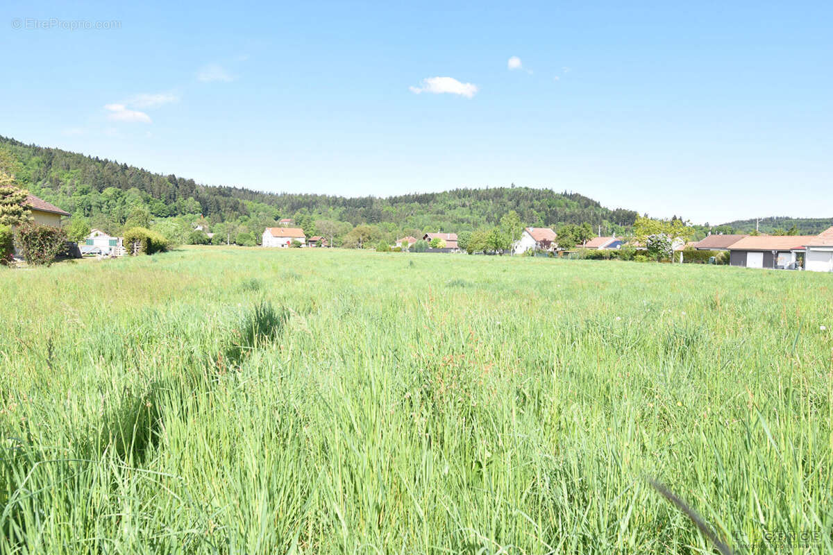 Terrain constructible Anould 2058 m2 - photo 2
