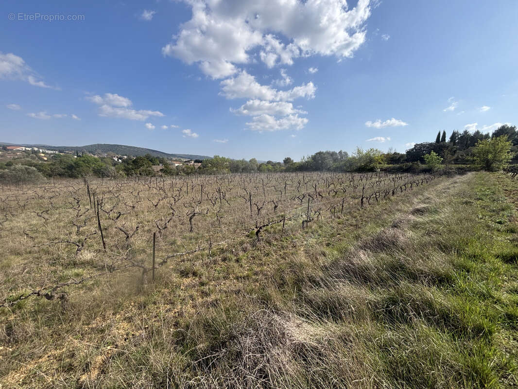 Terrain à POPIAN