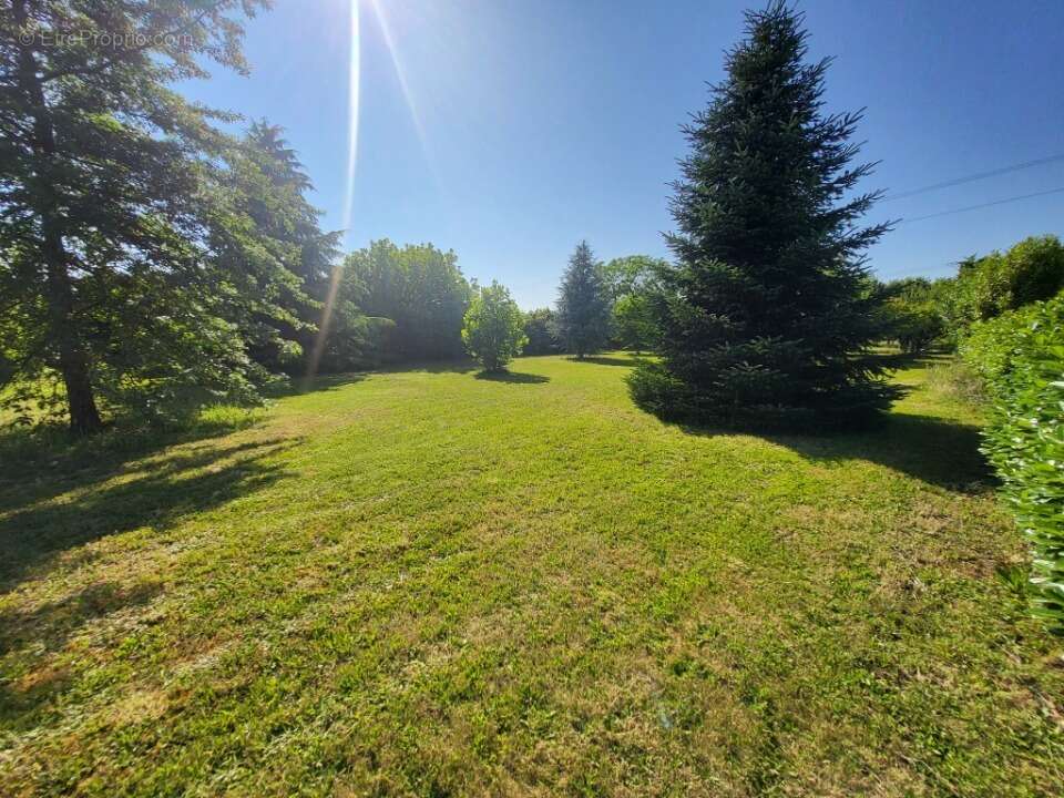 Terrain à COURS-DE-PILE