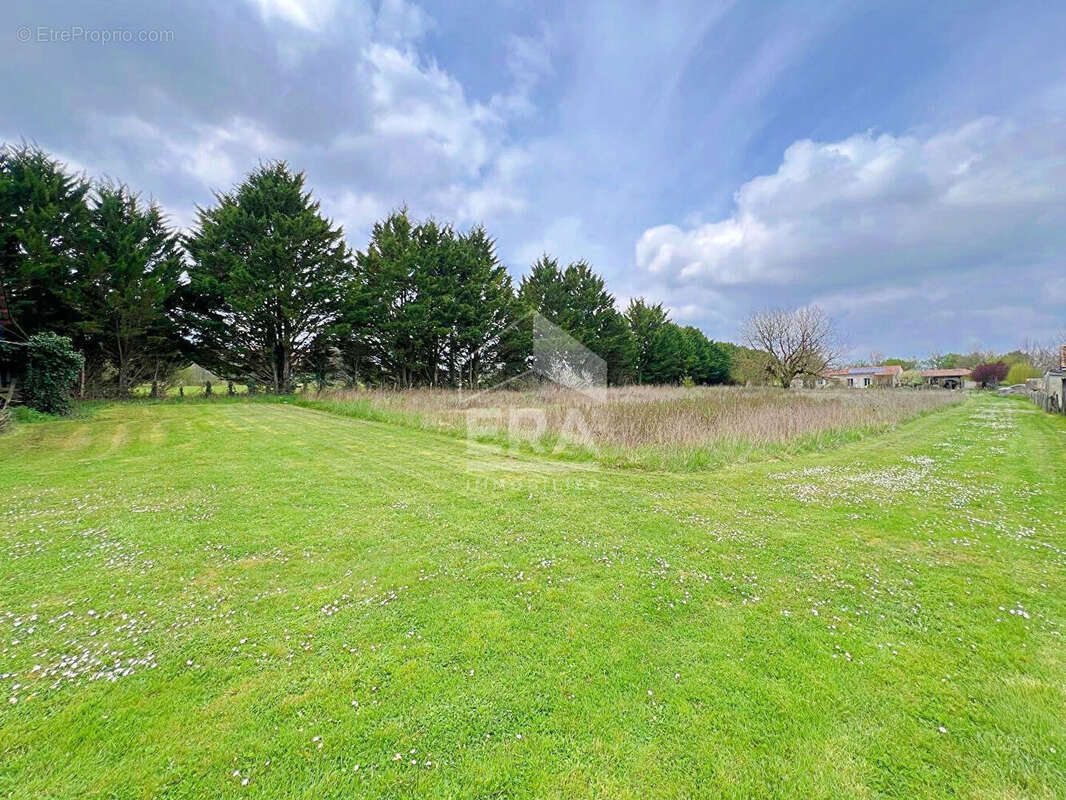 Terrain à MOUTHIERS-SUR-BOEME