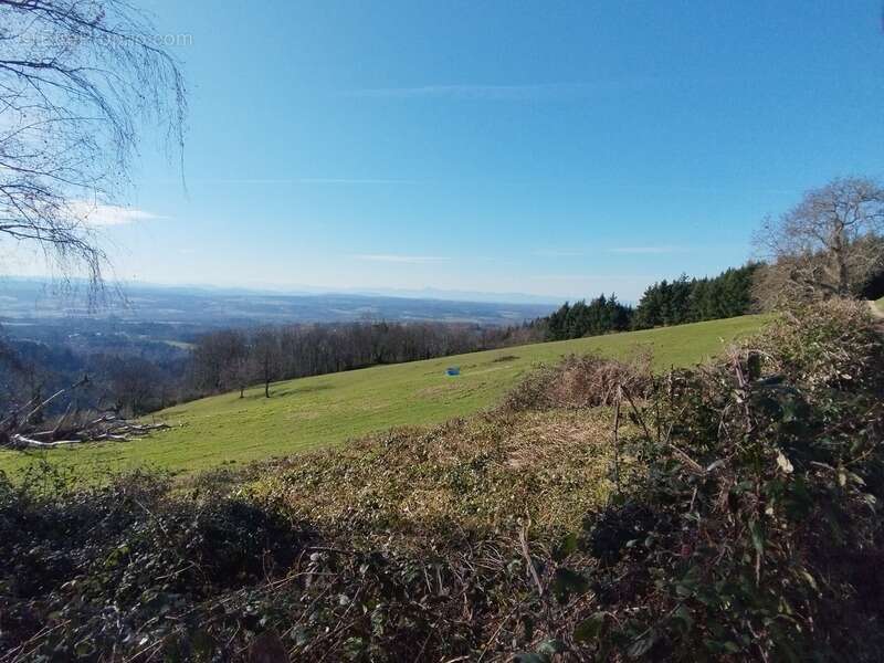 Terrain à ESCOUTOUX